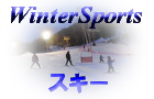 WinterSports_スキー